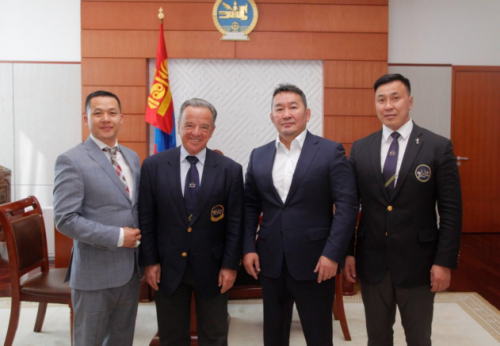 �ɹŹ����������ʲ��������ɹ��¾��õĻ�ʯ