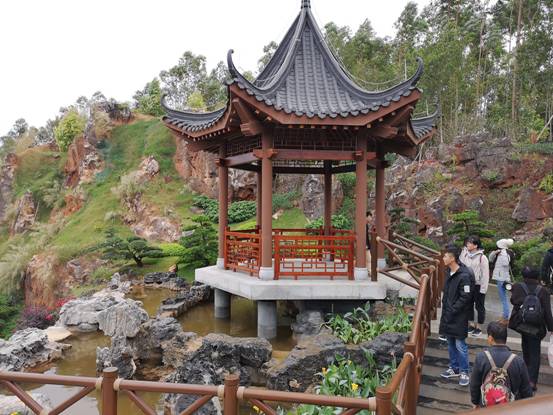 ���7080�����̰�ֻΪ����ʮ�����й�(����)����԰�ֲ����� (5)