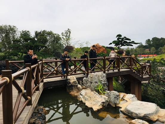 ���7080�����̰�ֻΪ����ʮ�����й�(����)����԰�ֲ����� (6)