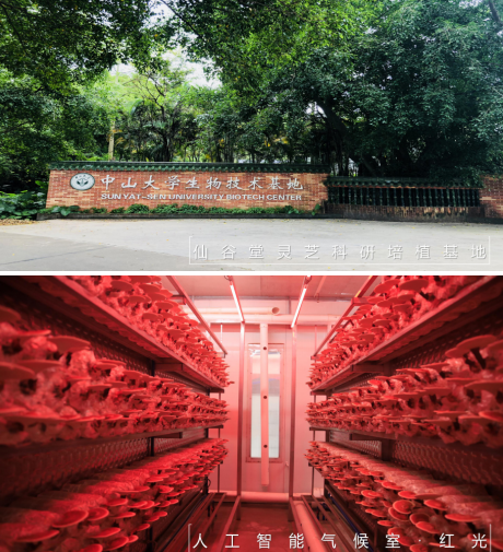 �ɹ�����֥��̬����������ҵ˼ά