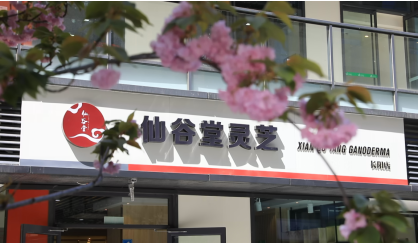 �ɹ�����֥��̬����������ҵ˼ά