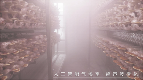 �ɹ�����֥��̬����������ҵ˼ά