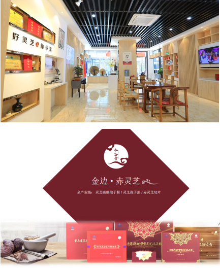 �ɹ�����֥��̬����������ҵ˼ά